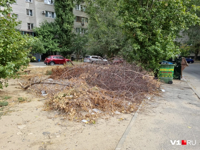 Огромная куча ветвей уже давно возникла во дворе дома № 1 по улице Хиросимы, что также управляется ООО «Управляющая компания Центрального района» | Источник: Константин Завриков / V1.RU