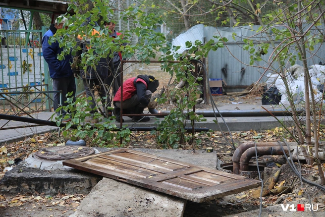 Без вмешательства Александра Бастрыкина «Концессии теплоснабжения» месяц не могли ликвидировать порыв на сетях в центре Волгограда | Источник: Константин Завриков / V1.RU