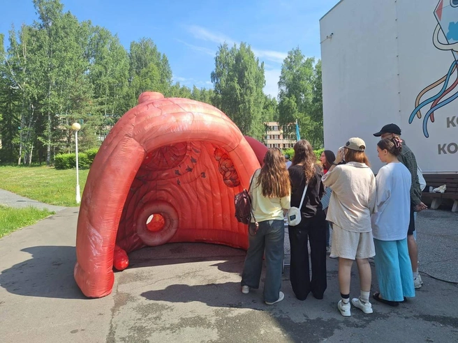 На территории торгового центра можно будет изучить макет кишки. Выглядит он очень натурально, внутри изображены паразиты и болячки | Источник: Veer Mall / T.me