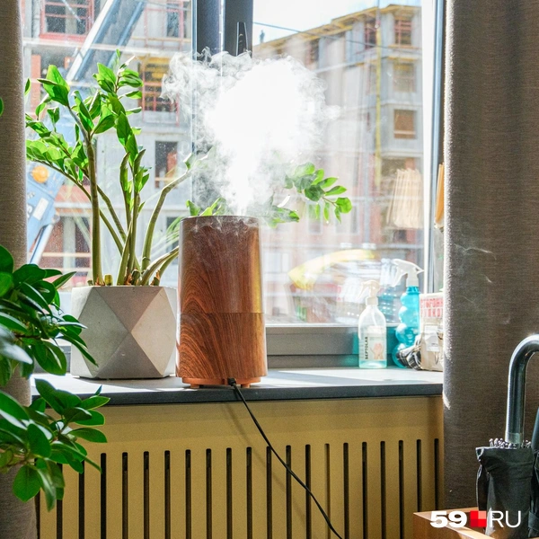 Антураж дополняют цветы в горшках, увлажнитель воздуха и подставка для мокрых зонтов | Источник: Тимофей Калмаков / 59.RU