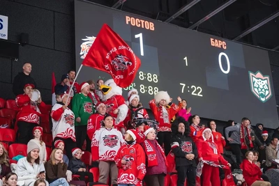 Минспорт о снятии «Ростова» с турнира