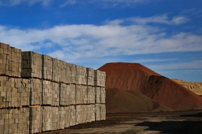 Worker crushed by bricks dies at Vinzili plant