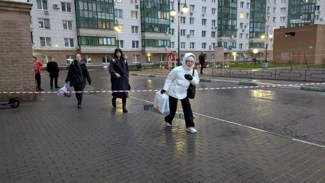 Источник: REGIONS.RU / Новости Подмосковья / T.me