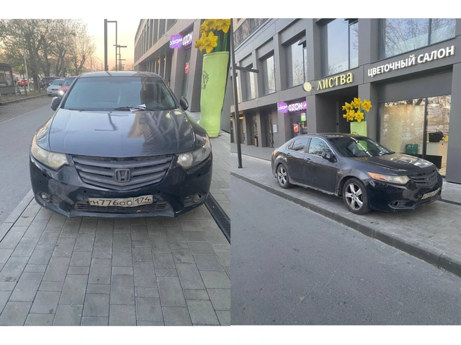 Кому-то очень срочно понадобились цветы и некогда было тратить время на парковку | Источник: Читатель Алексей