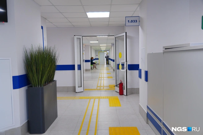 В коридорах стоят искусственные цветы  | Источник: Антон Дигаев / NGS.RU