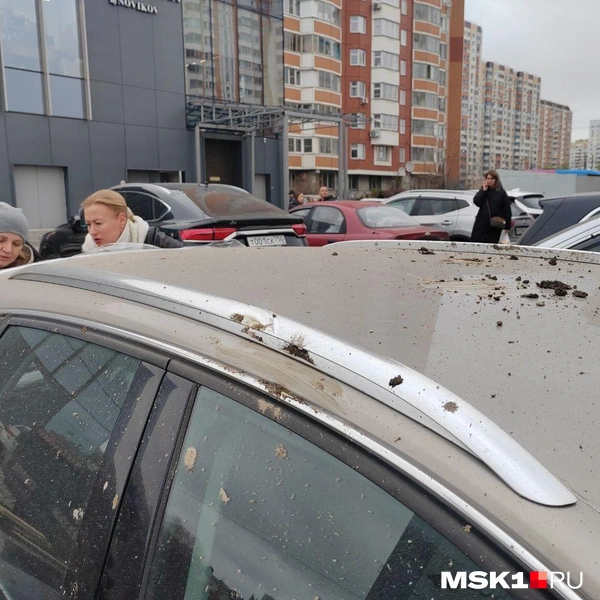 Источник: Михаил Мечев / MSK1.RU