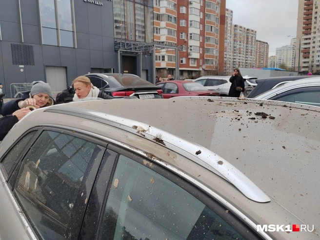 Источник: Михаил Мечев / MSK1.RU