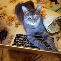 Аватарка Вероника