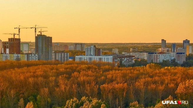 Осень уже вступила в свои права | Источник: Булат Салихов / UFA1.RU
