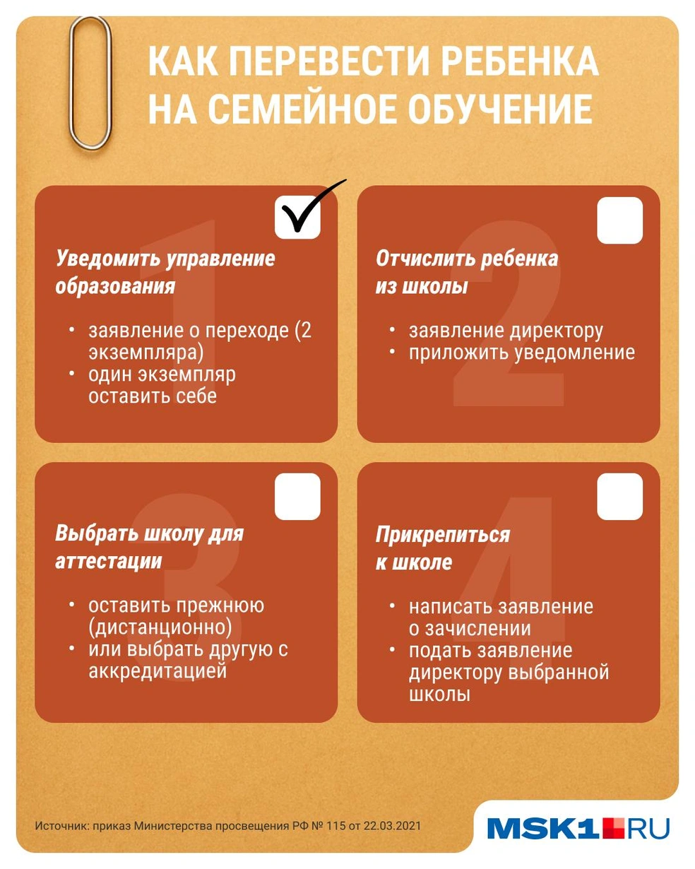 Источник: Серафима Пантыкина / Городские медиа