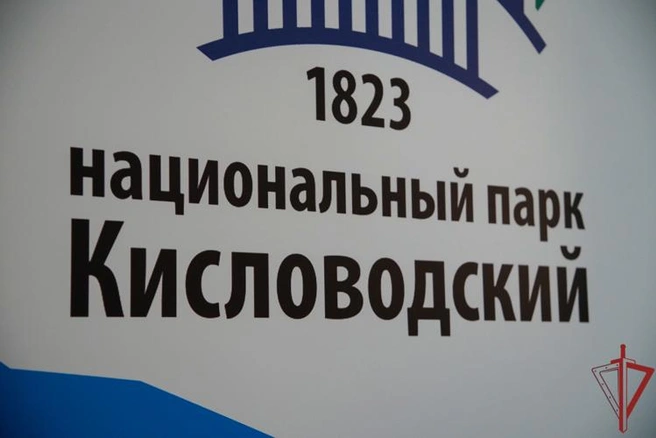 Источник: 60.rosguard.gov.ru