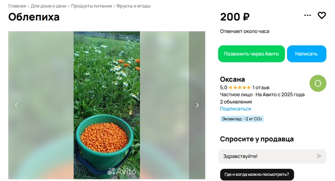 Литр ягоды стоит 200-250 рублей | Источник: avito.ru