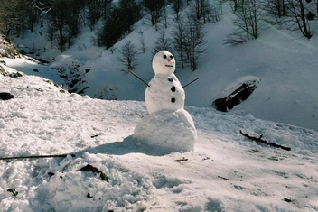 Тест: Каков ваш снеговик идентичности?