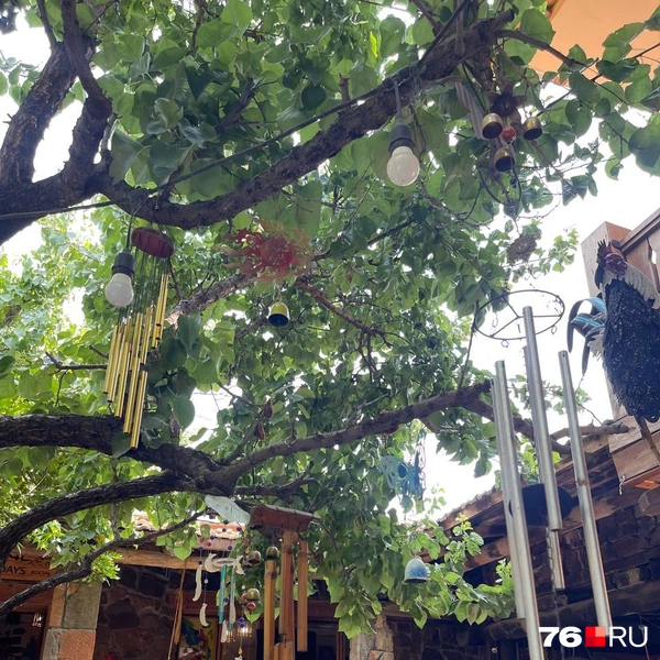 На территории музея также есть кафе и зоны отдыха  | Источник: Кристина Геворкян / 76.RU