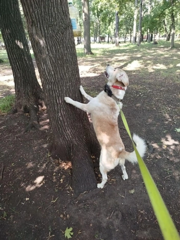 —&nbsp;Ты кто такая? | Источник: читатель 63.RU