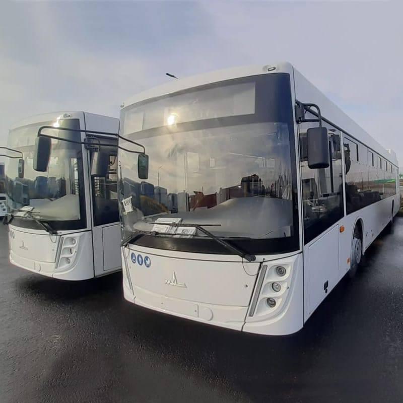 Вместительные и низкопольные — в Тольятти привезут 20 новых автобусов