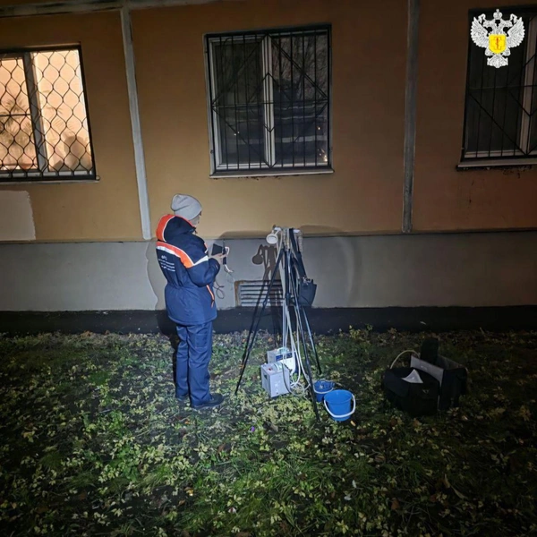 Источник: Роспотребнадзор Санкт-Петербург и Ленинградская область