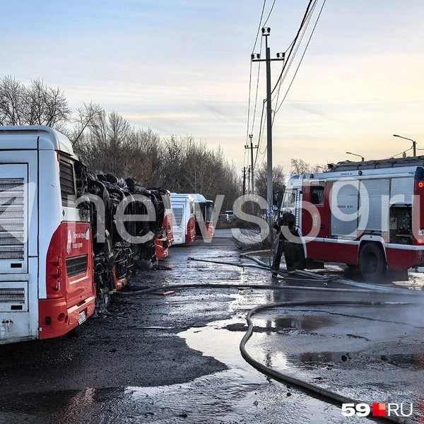 Пожарные потушили огонь и проливали остовы автобусов | Источник: Василина Любимова / 59.RU