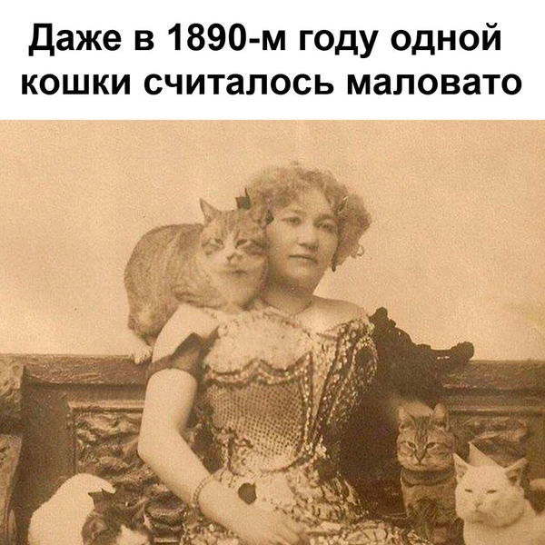 Источник: соцсети