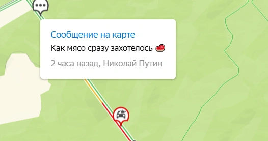 Многие в шутку оставляют комментарии о том, что мясо пожарить можно на обочине | Источник: 2ГИС