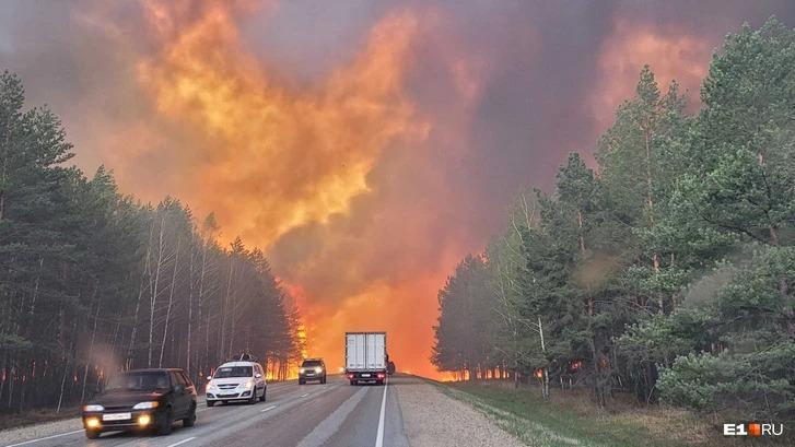 Администрация городского округа «Город Лесной»