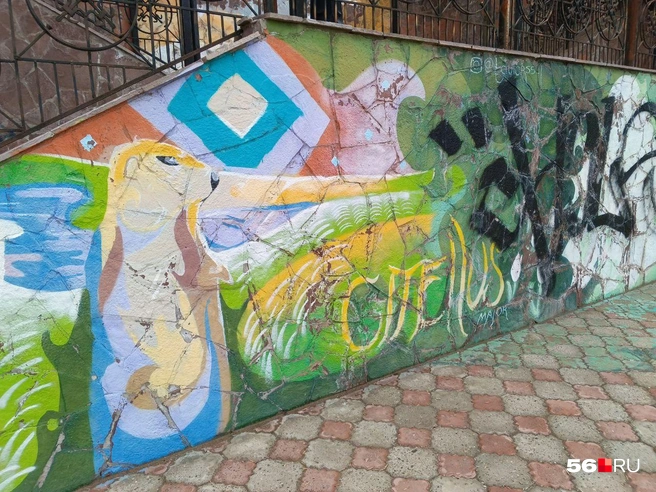 Степной сурок | Источник: Владислав Митрошин / 56.RU