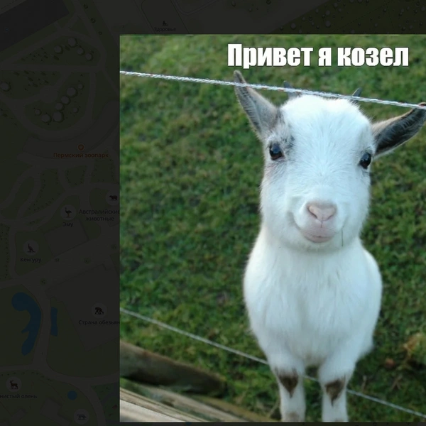 Приятно познакомиться | Источник: онлайн-карты «2ГИС»