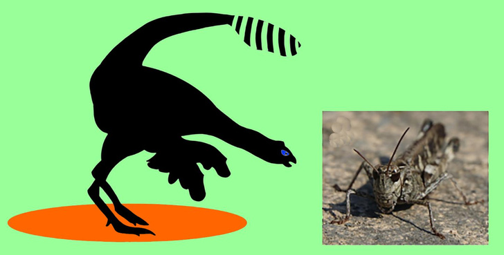Стало известно, зачем нелетающим динозаврам нужны были крылья. А вы как думаете?
