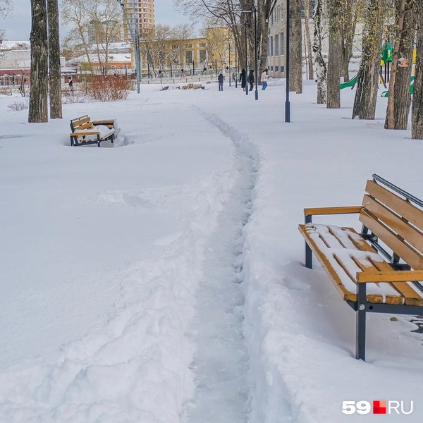 В скверике романтично | Источник: Тимофей Калмаков / 59.RU