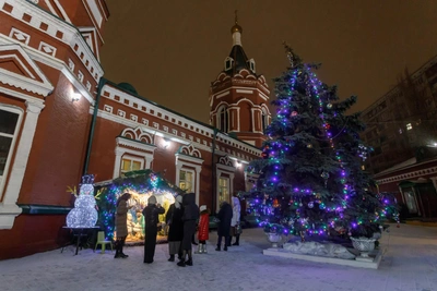 Под Волгоградом за 2,5 млн закажут 12-метровую елку