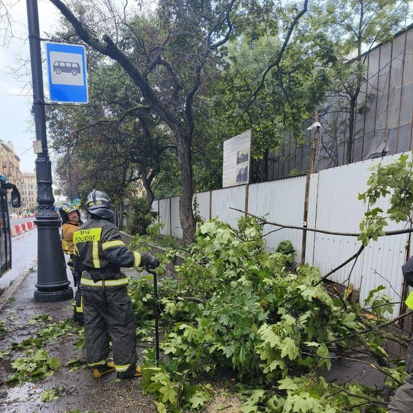 19 выездов за день. Спасатели Петербурга устраняли последствия непогоды в городе | Источник: МЧС России