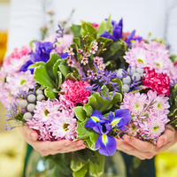 Аватарка Alinka87