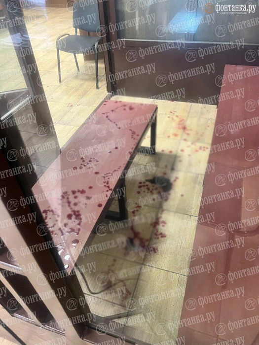 Стали известны подробности кровавого перформанса на заседании Кировского райсуда | Источник: «Фонтанка.ру»