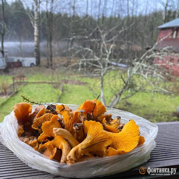 Источник: читатель «Фонтанки» Илья 