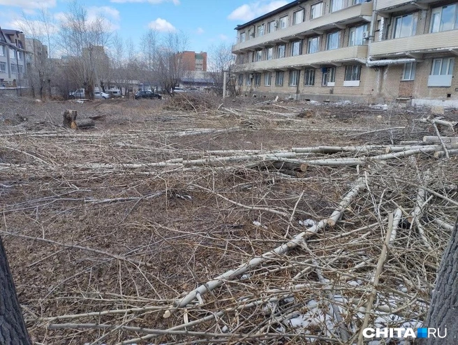 Источник: Сергей Бумагин / CHITA.RU