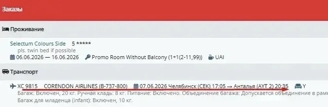 Лишь за два дня до вылета удалось найти авиаперевозчика | Источник: Читатель 74.RU