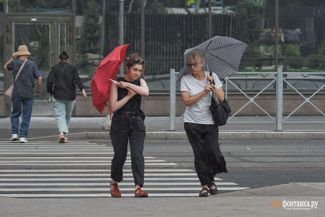 Погода в Петербурге будет меняться. Подробный прогноз на выходные | Источник: Михаил Огнев / «Фонтанка.ру»