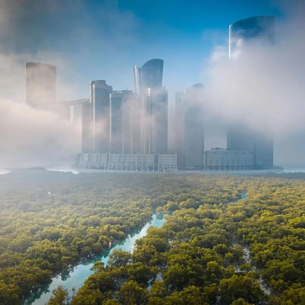 Победитель в номинации «Пейзаж с воздуха» | Источник: Ahmed Badwan / Mangrove Photography Awards 2025