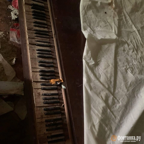 Источник: читатель «Фонтанки»