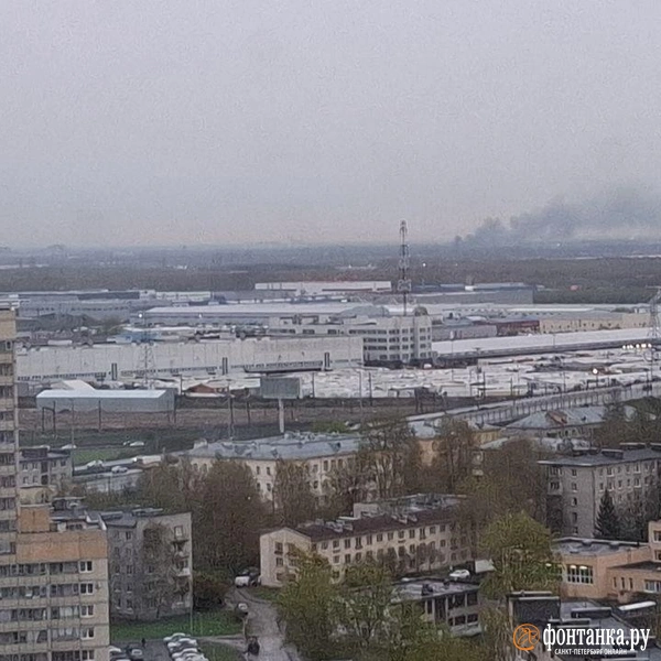 Источник: читатель «Фонтанки»