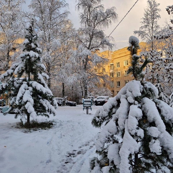 Источник: читатель «Фонтанки»