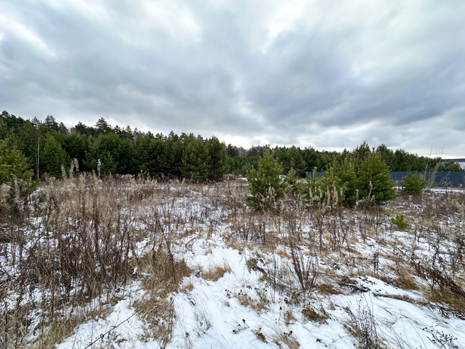 Тюменка не знает, что делать с таким участком, и пытается вернуть свои деньги | Источник: Елена Костомаха