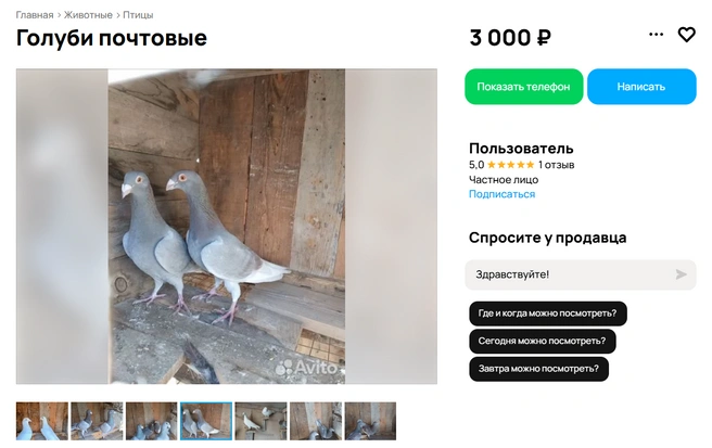 Источник: avito.ru