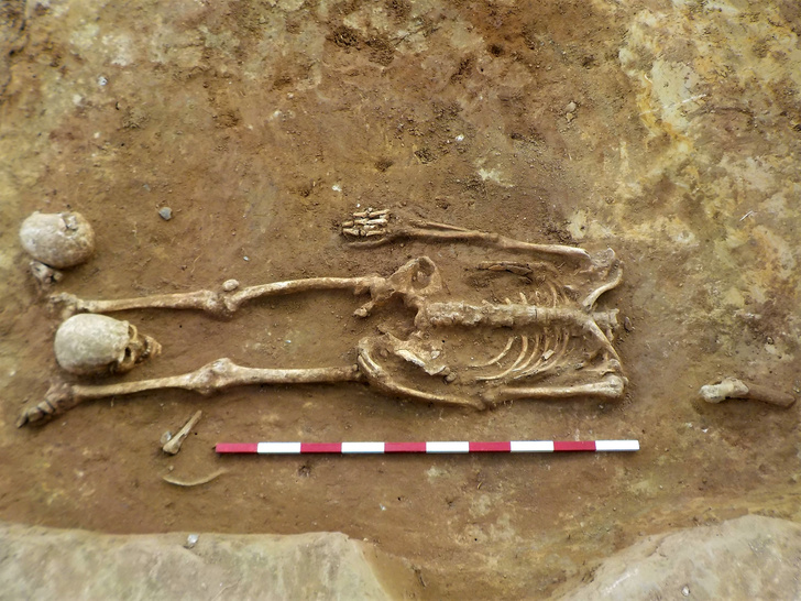 В Англии обнаружили странное захоронение с обезглавленными скелетами