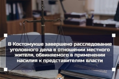 Житель Костомукши предстанет перед судом за нападение на стражей порядка