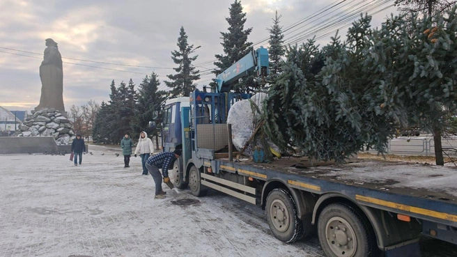 Доставили деревья на погрузчике | Источник: kdhchel / t.me