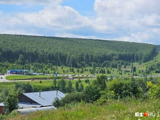 Накануне в поселке Арти была пятикилометровая очередь — в округе это единственная заправка | Источник: читатель E1.RU