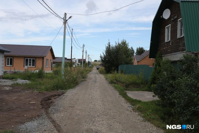 Тихую жизнь в коттеджном поселке нарушает соседка | Источник: Андрей Бортко / NGS.RU