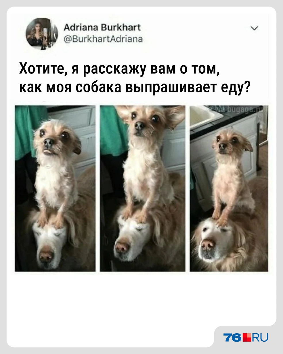 Эти ребята&nbsp;— мастера своего дела | Источник: Городские медиа