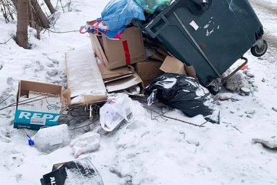 «Подснежники с запашком» на улице Сарыгина в Кемерове